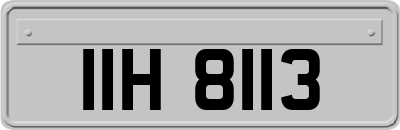 IIH8113