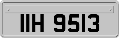 IIH9513