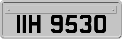 IIH9530