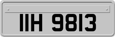 IIH9813