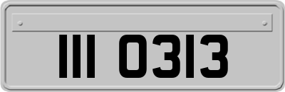 III0313