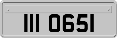 III0651