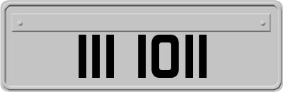 III1011