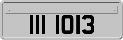 III1013