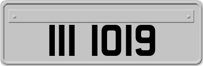III1019