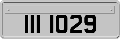 III1029