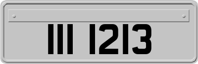III1213