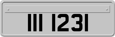 III1231