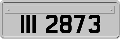 III2873