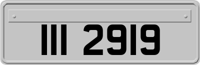 III2919