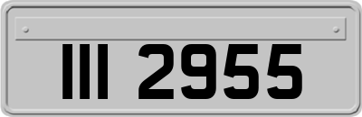 III2955