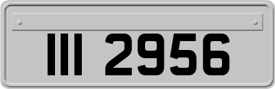 III2956
