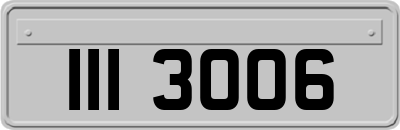III3006
