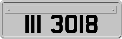 III3018