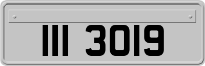 III3019