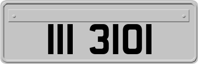 III3101