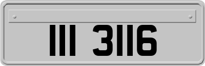 III3116