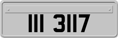 III3117