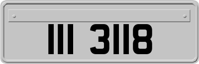 III3118