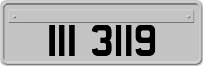 III3119