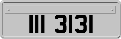 III3131