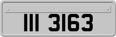 III3163