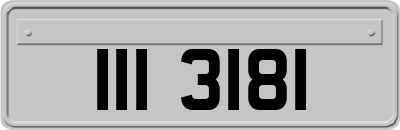 III3181