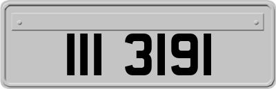 III3191
