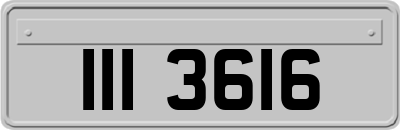 III3616