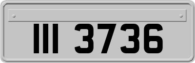 III3736