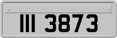 III3873