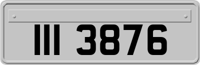 III3876