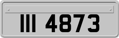 III4873