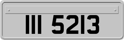 III5213