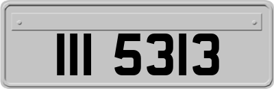 III5313