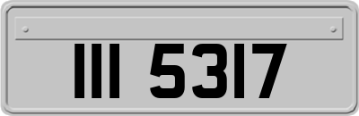 III5317