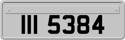 III5384
