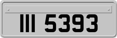 III5393
