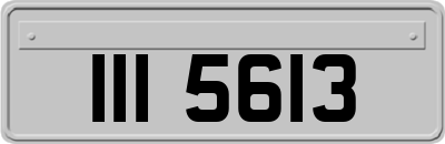 III5613