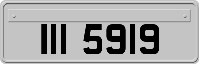 III5919