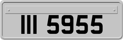 III5955