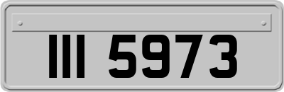 III5973