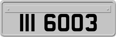 III6003