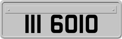 III6010