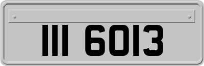 III6013