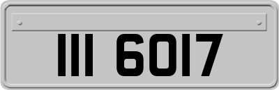 III6017