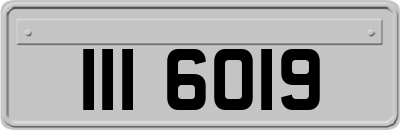 III6019