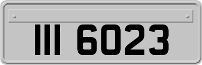 III6023