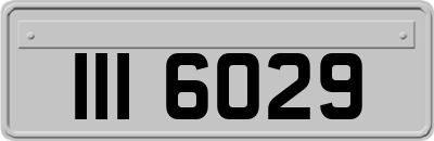 III6029