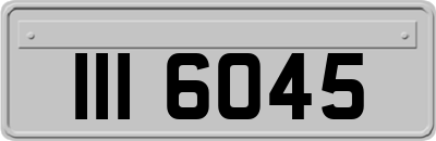 III6045
